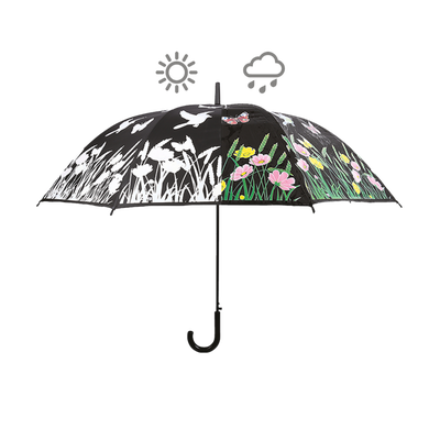 Paraguas Magico Pajaros que Cambian de Color